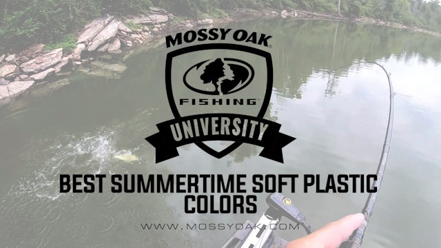 Best Summertime Soft Plastic Colors • Mossy Oak University