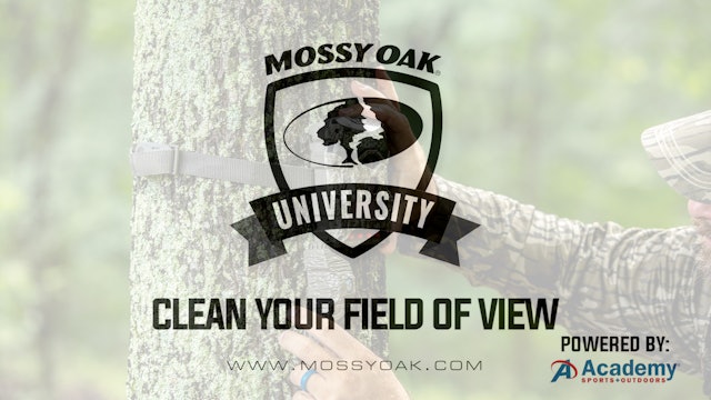 Clean Your Field Of View