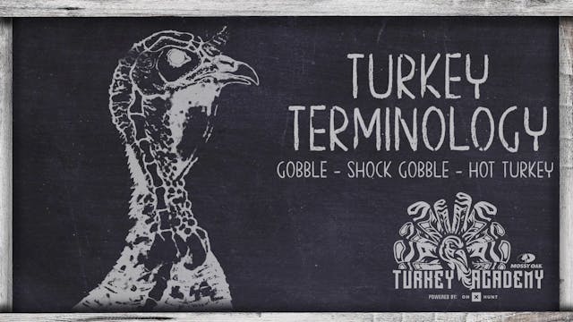 OnX Turkey Academy • Lesson 2 | Gobbl...