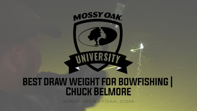 Best Draw Weight for Bow Fishing Bows...