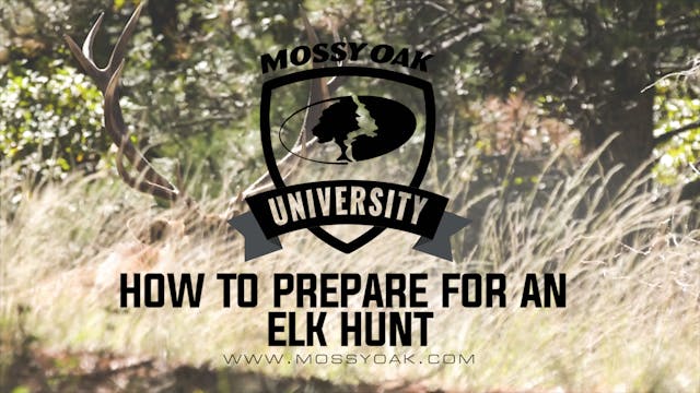 How to Prepare for an Elk Hunt