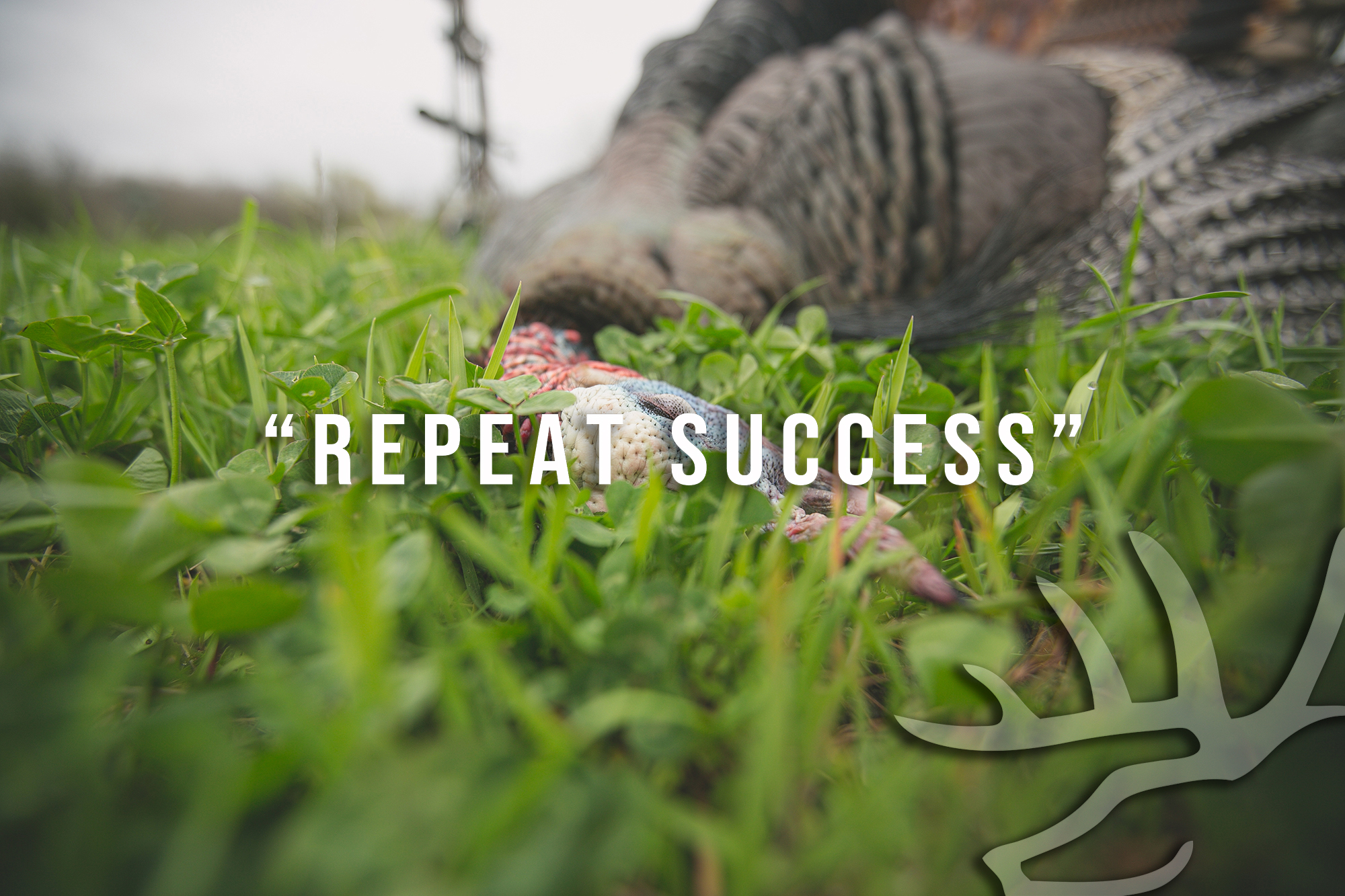 Full Strut • Episode 2 • Repeat Success