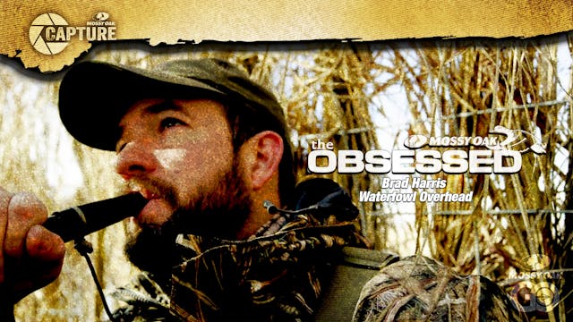 Brad Harris • Waterfowl Overhead