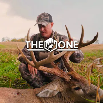 Grigsby Giant • The One
