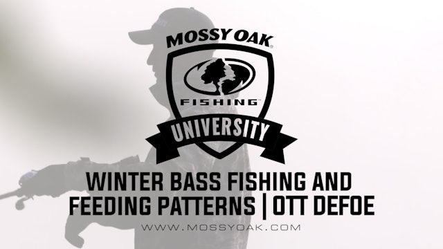 What Do Bass Eat in the Winter - Ott DeFoe Fishing Tips