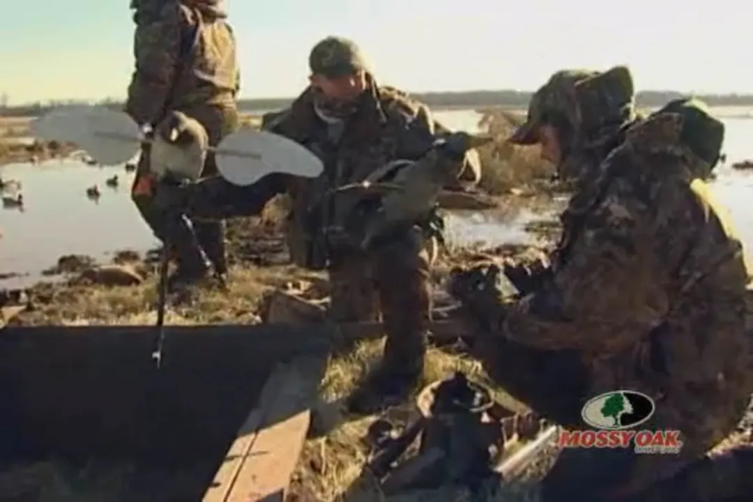 Buckshot Bonanza • Duck Hunting Flooded Rice in Arkansas - Whistling ...