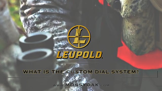 What is the Custom Dial System