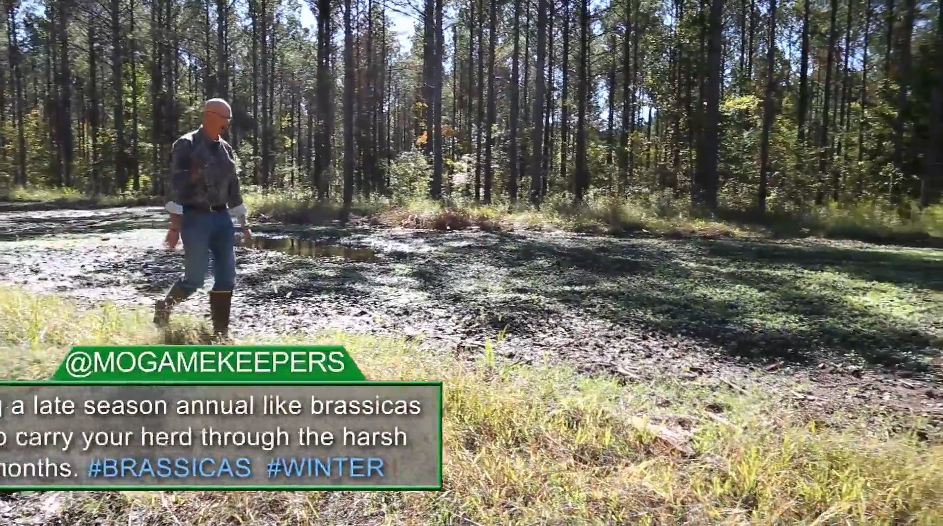 Producing Results • Part 1 • Gator Hunting and Maximizing Food Plot Potential