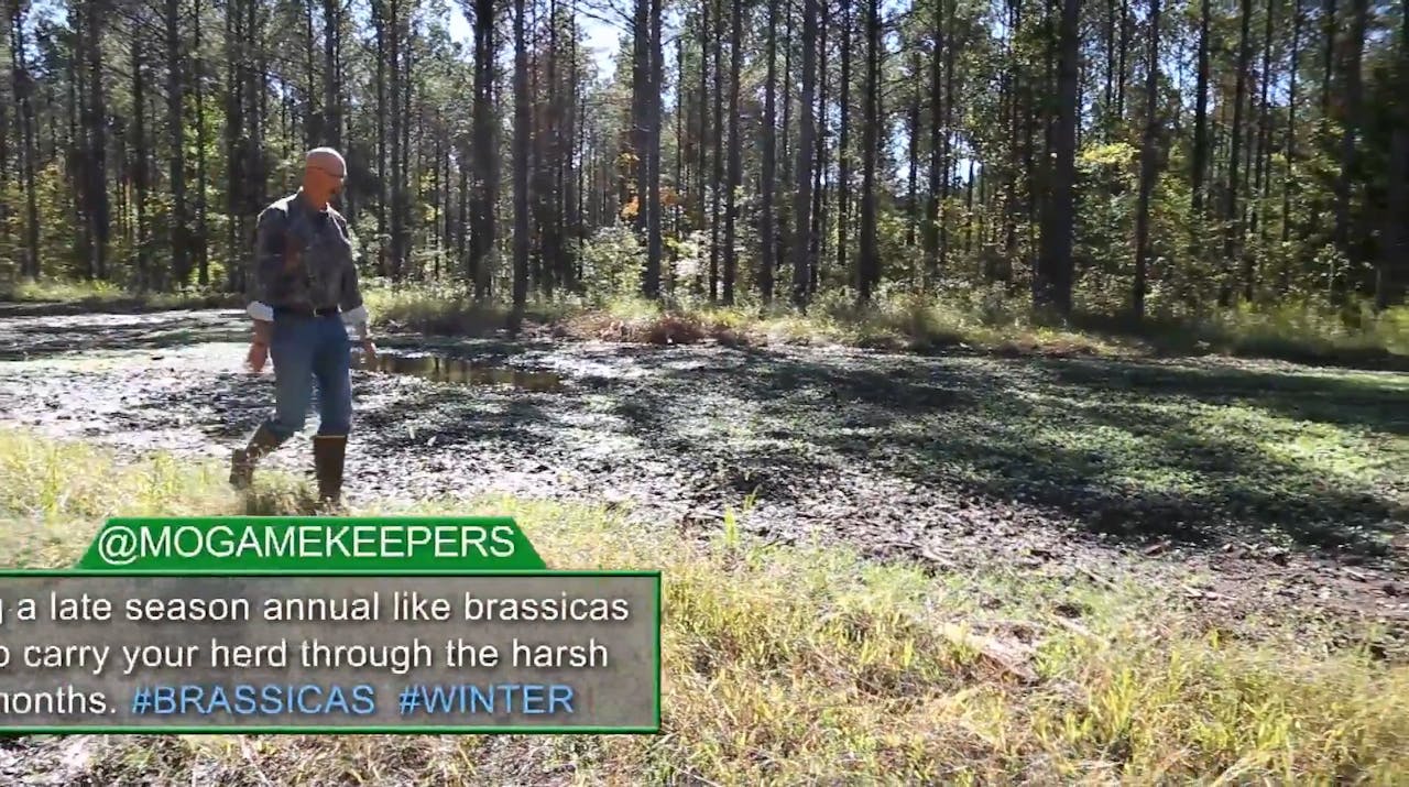 Producing Results Part 1 Gator Hunting And Maximizing