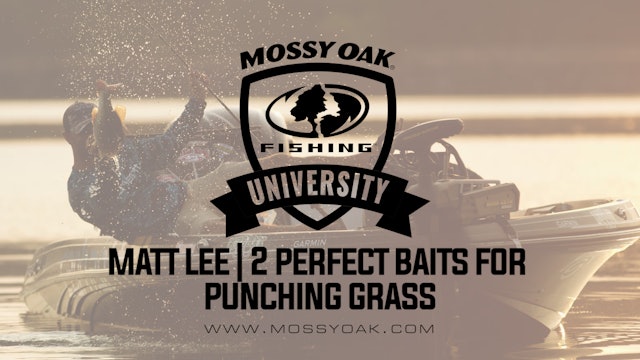 Two Key Lures For Punching Grass With Matt Lee