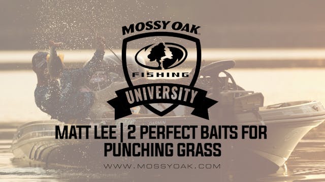 Two Key Lures For Punching Grass With...