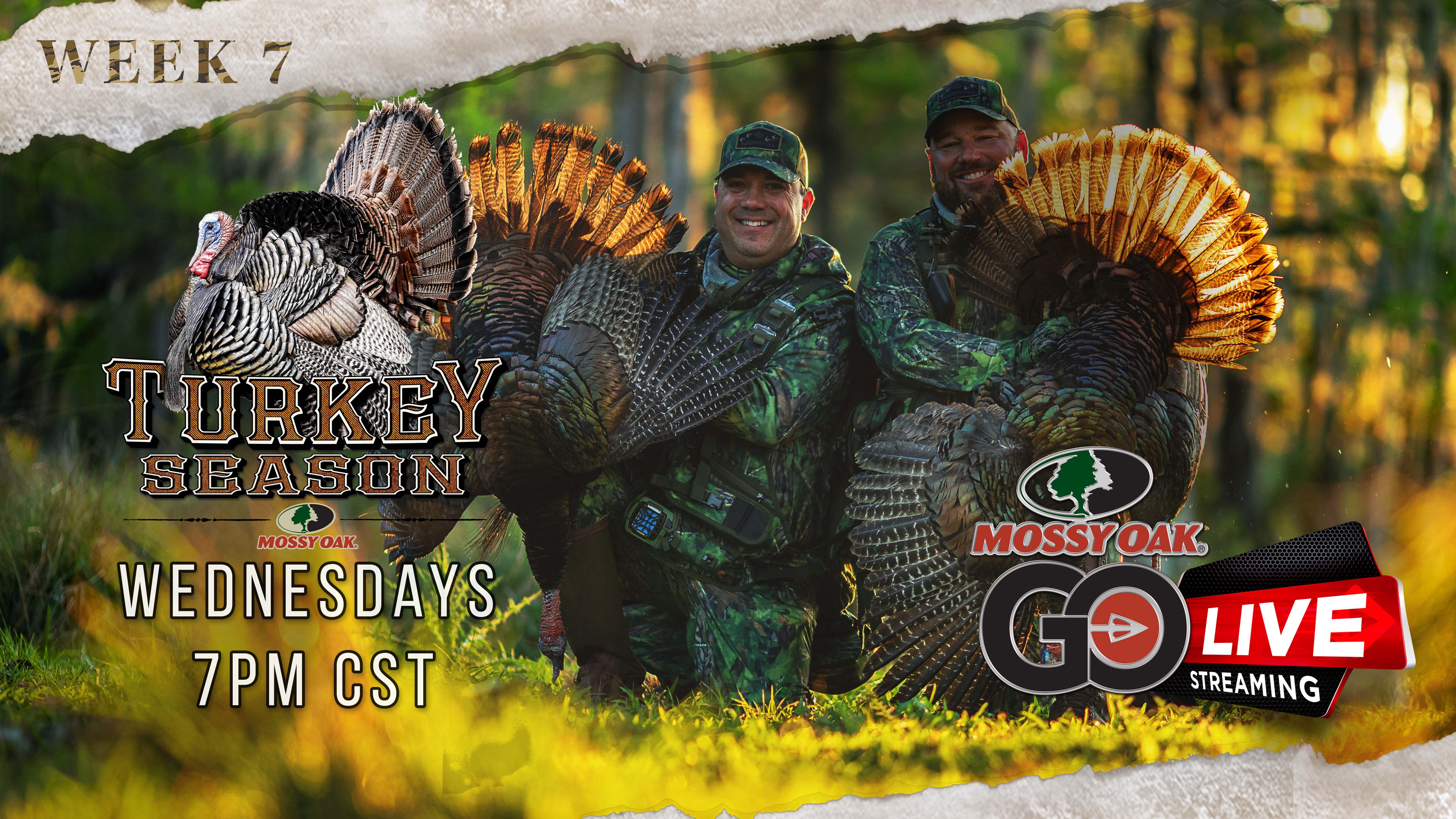 Live: 4.6.2022 Turkey Season LIVE Replay