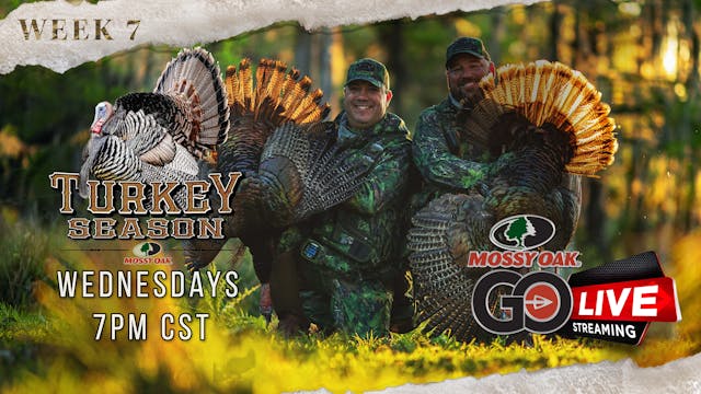 Live: 4.6.2022 Turkey Season LIVE Replay