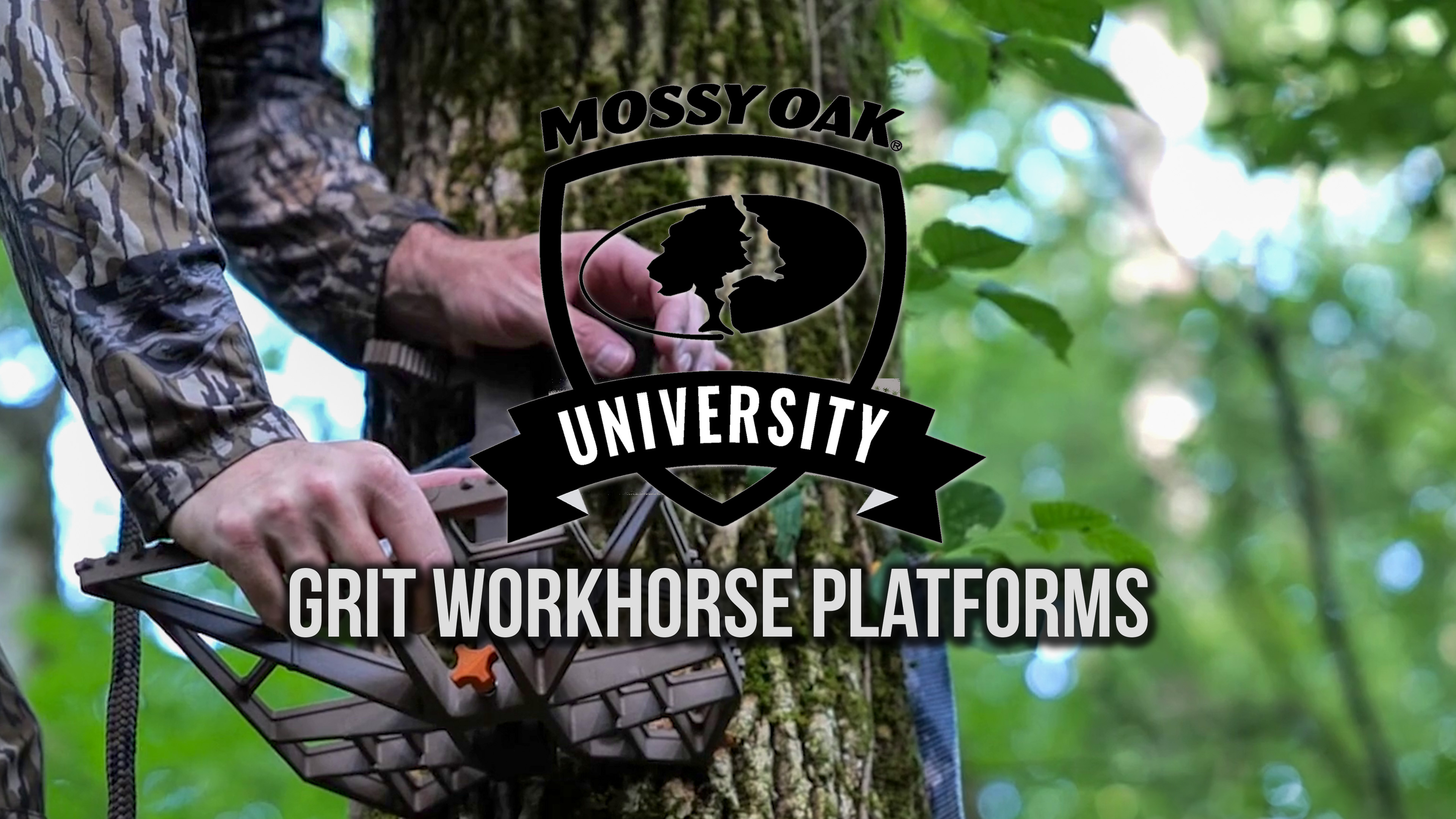 Grit Workhorse Platforms
