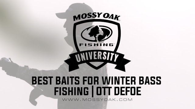 What Baits to Use in the Winter - Ott DeFoe Fishing Tips