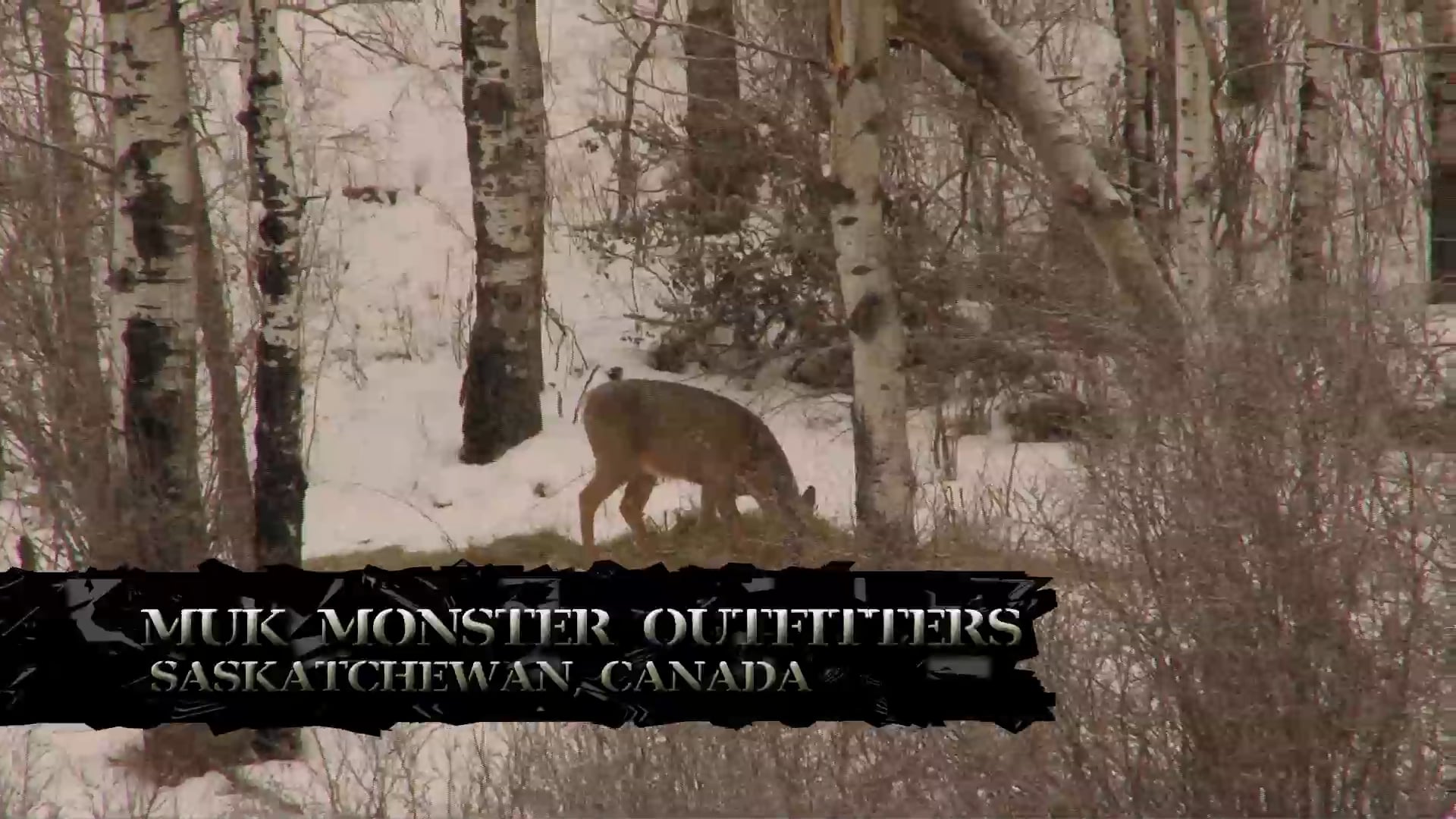 Fire and Ice • Cold Days and Hot Bucks