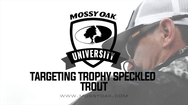 Targeting Trophy Speckled Trout • The Speckled Truth