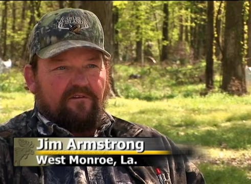 Cricket Man • Turkeys in Mississippi