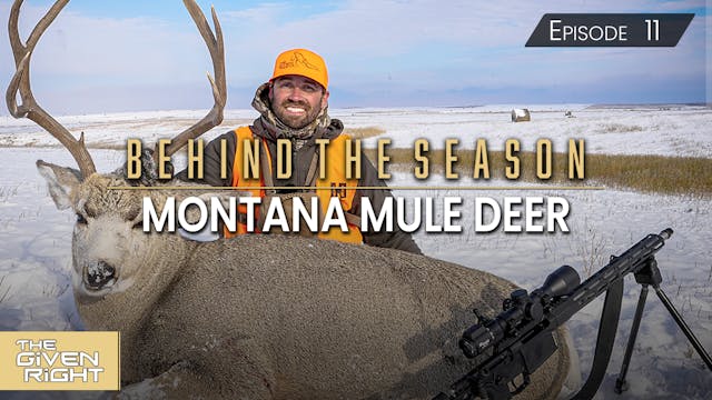 Montana Mule Deer • Behind the Season