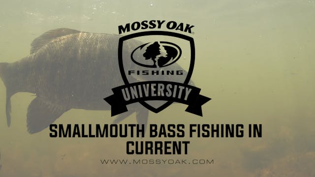 Small River Smallmouth Bass • How To ...