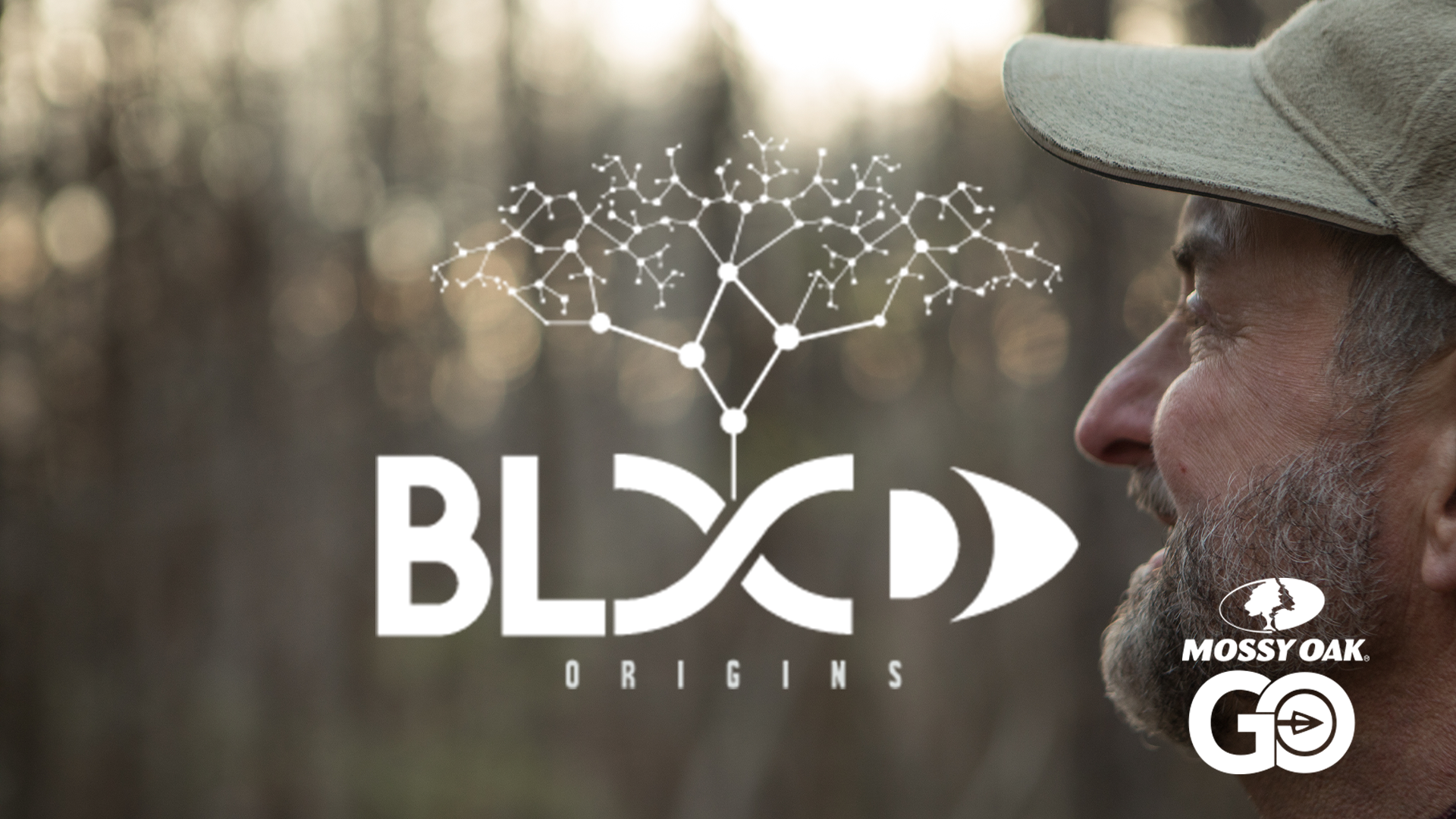 The Truth • Blood Origins