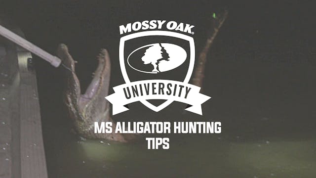 Alligator Hunting Tips