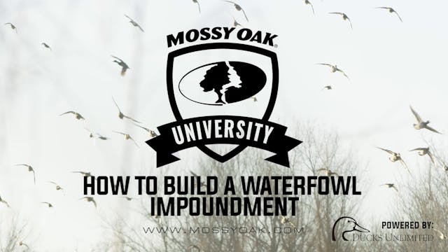 How to Build a Waterfowl Impoundment