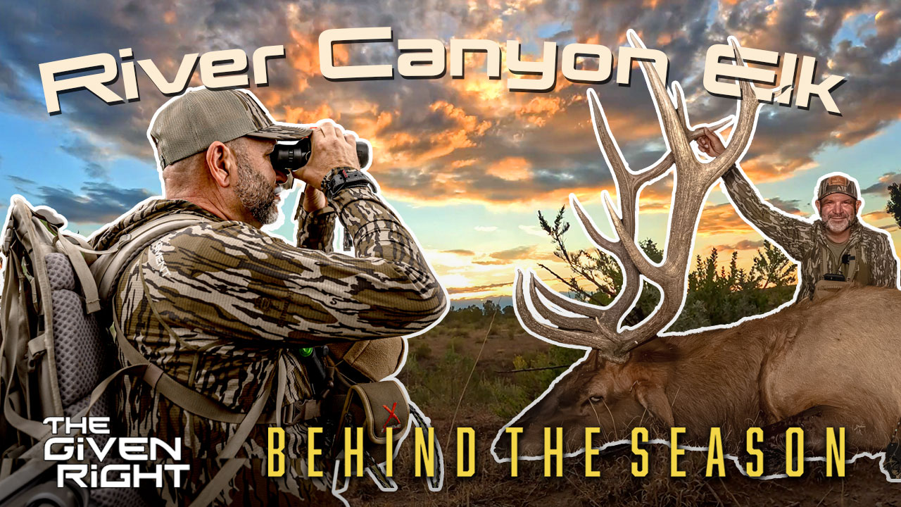 A Bowhunter's Worst Nightmare | River Canyon Colorado Elk • Behind the Season