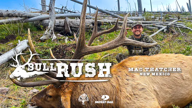 Bull Rush featuring Mac Thatcher | Ne...