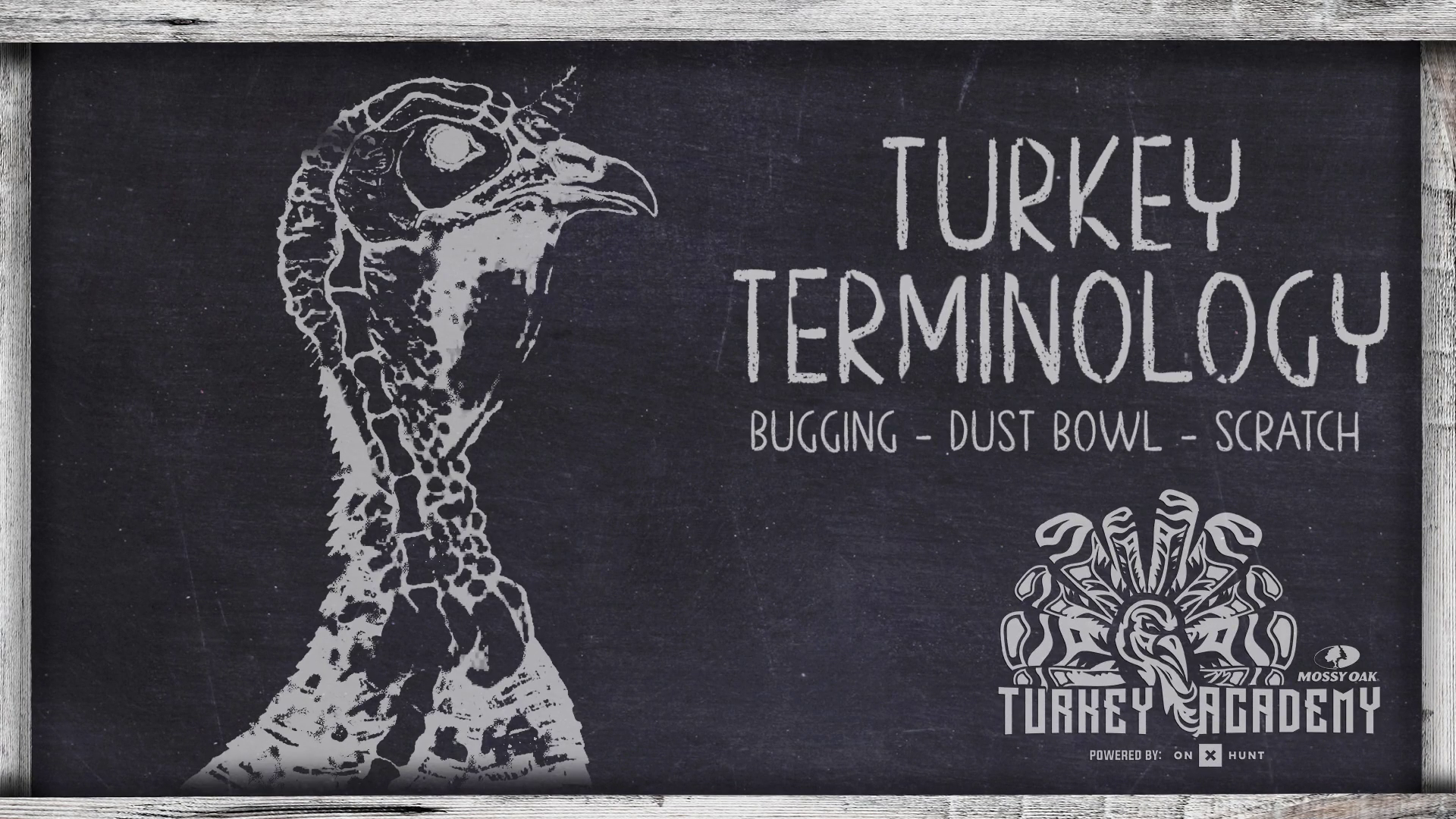 OnX Turkey Academy • Lesson 3 | Turkey Terminology - Dust Bowl-Bugging-Scratch