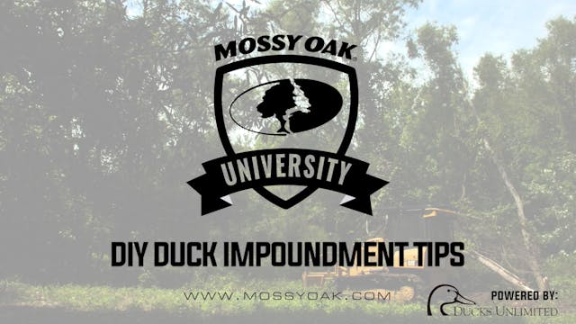 DIY Duck Impoundment Tips