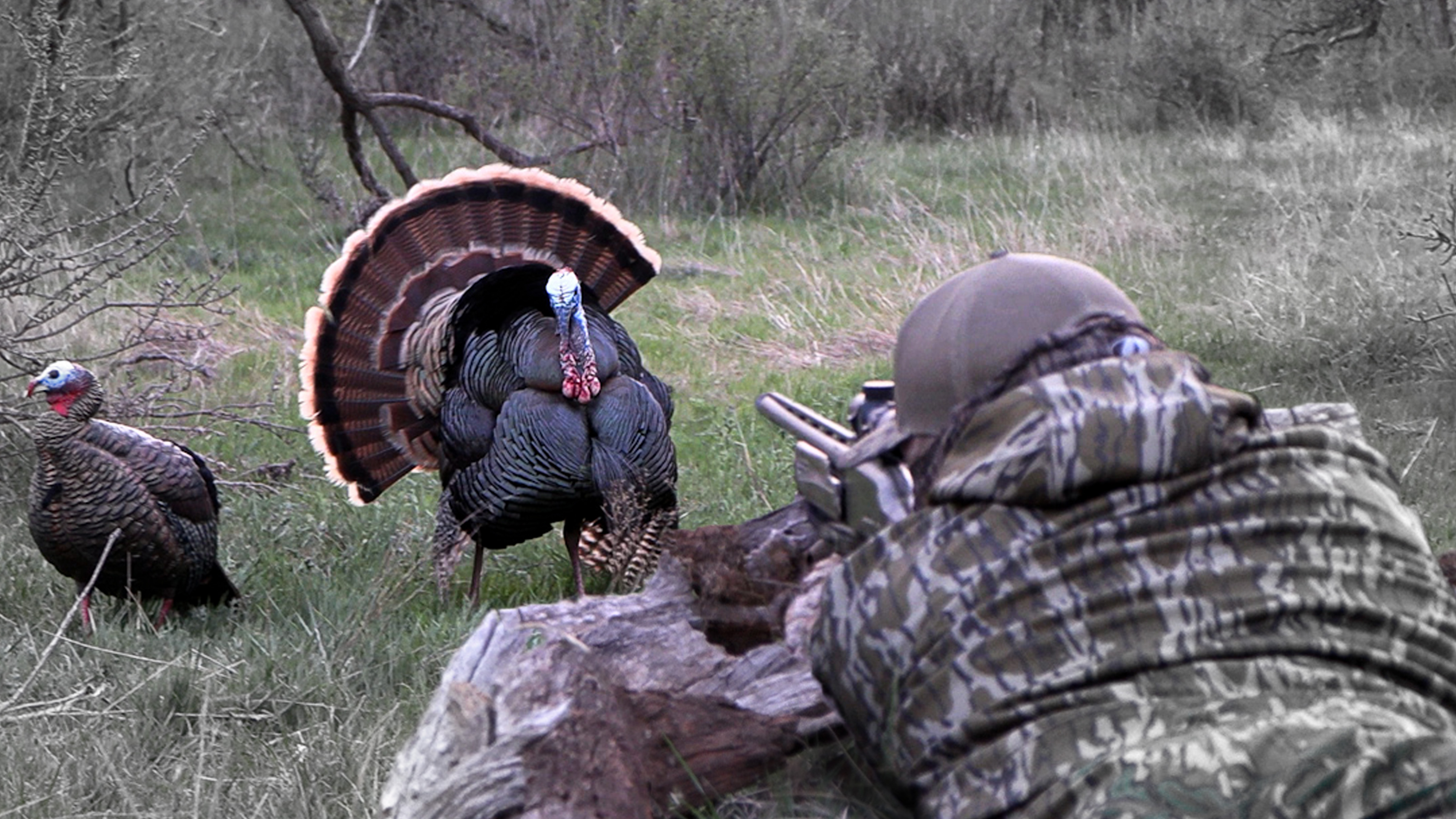 CLOSE RANGE: Chasing TEXAS Rios | Turkey Season 25