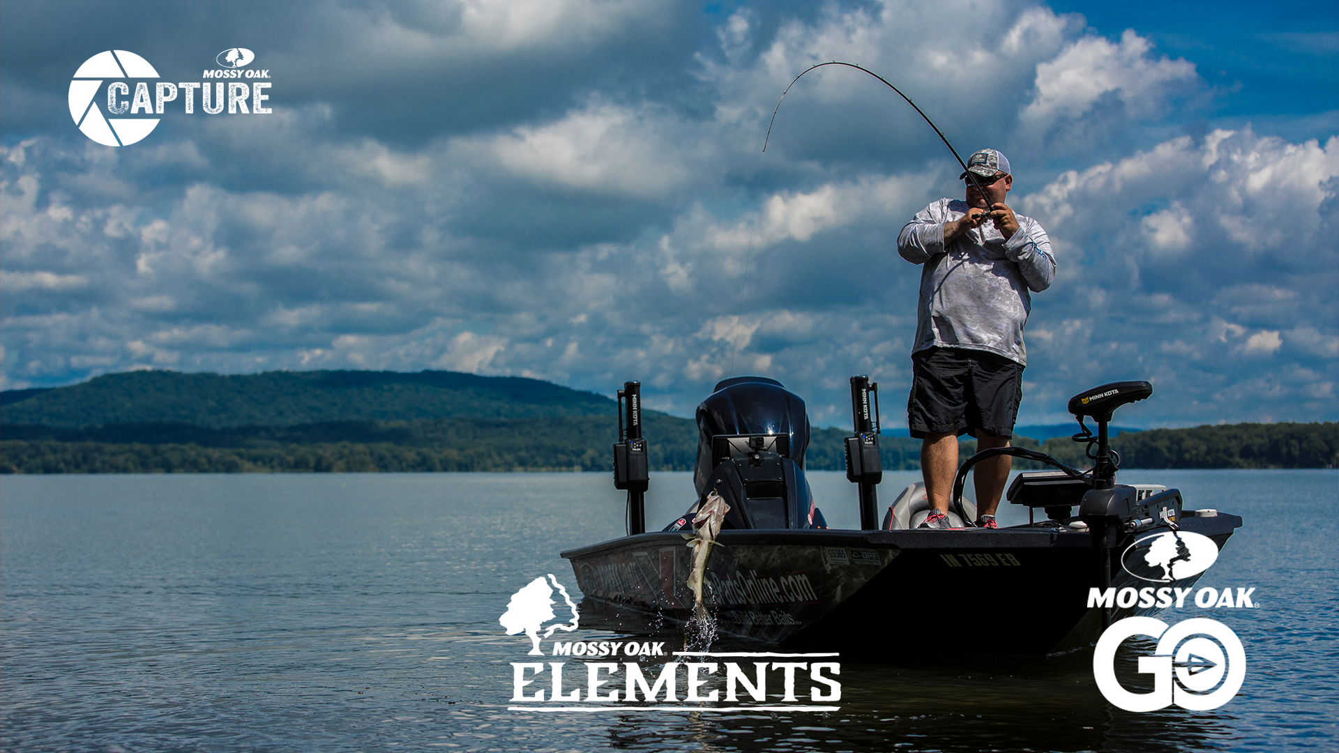 Bill Lowen • Elements