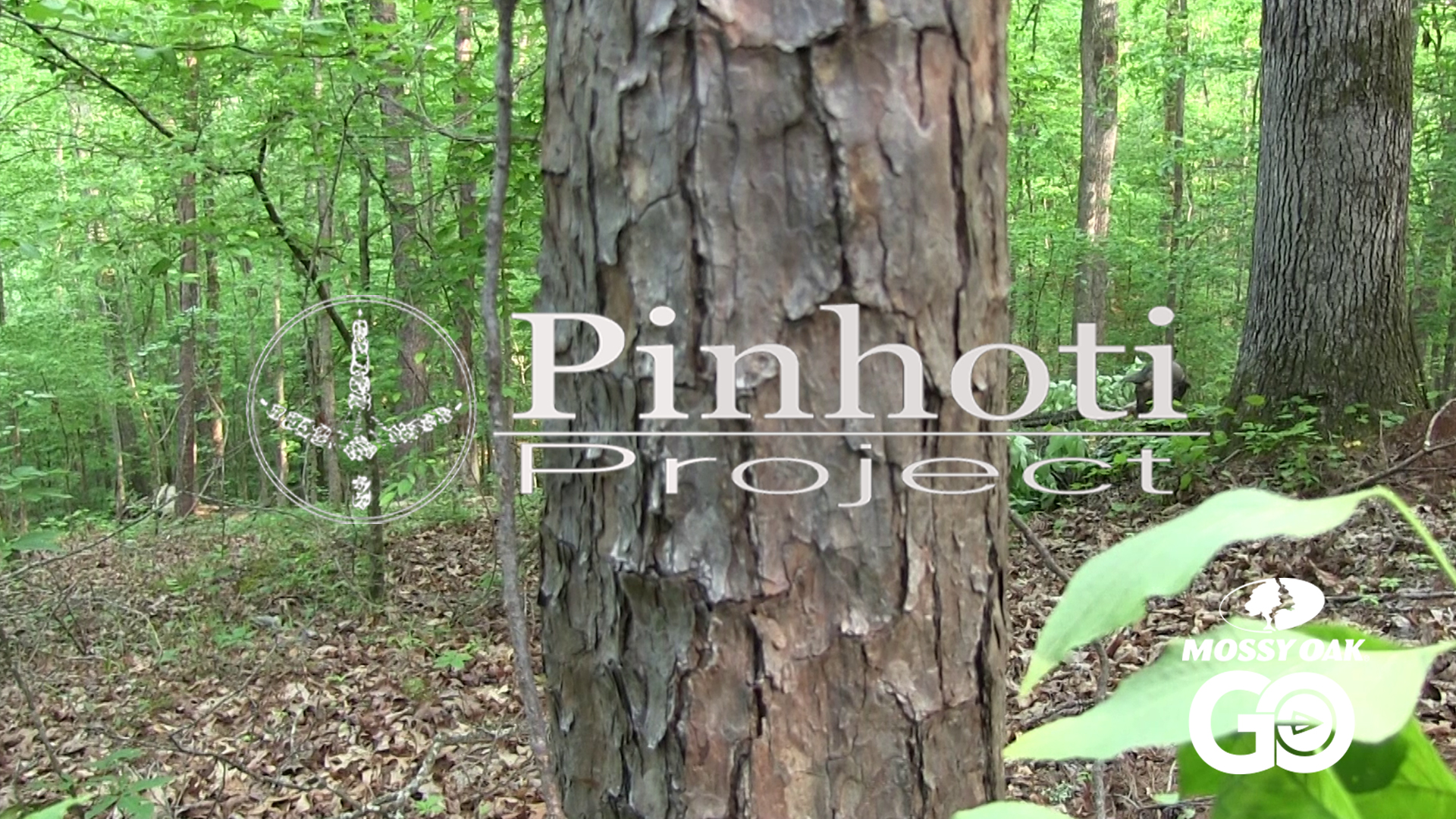 Last Day Limbhanger • Pinhoti Project Day 68