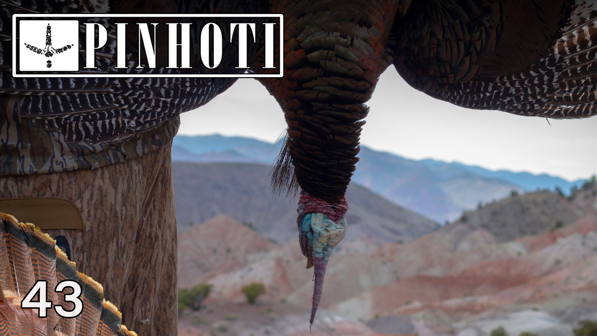 Pinhoti 2021 Ep 43 • Pinhoti Project