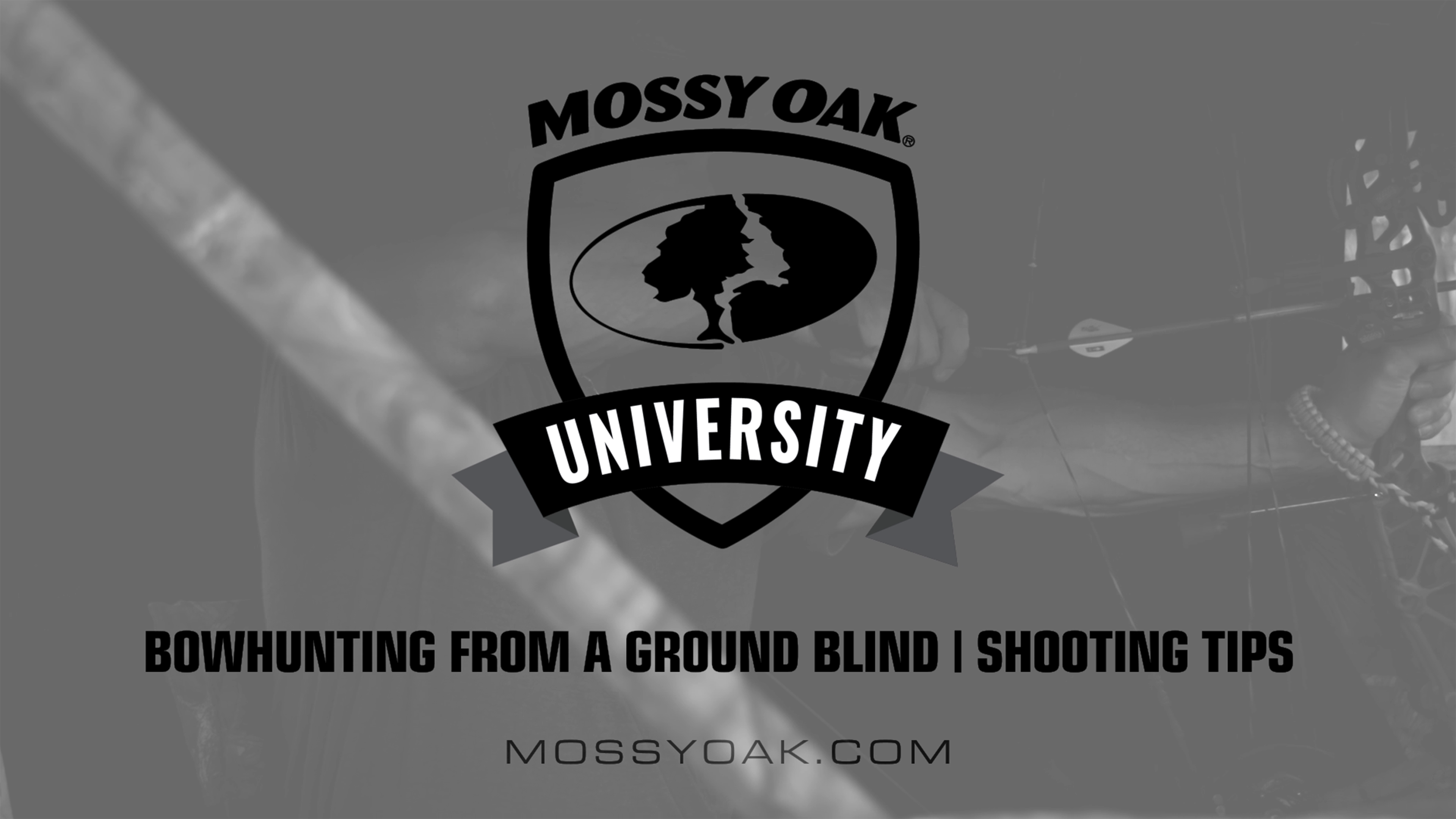 Bowhunting from Ground Blinds • 1 Shooting Tips