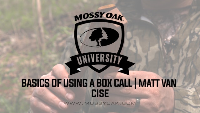 How to Use a Box Call - Matt Van Cise