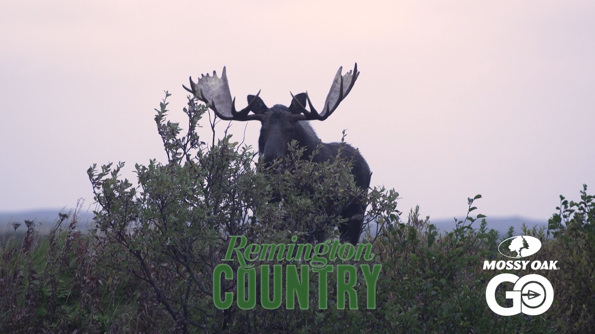 Pursuit of the Last Frontier I • Remington Country
