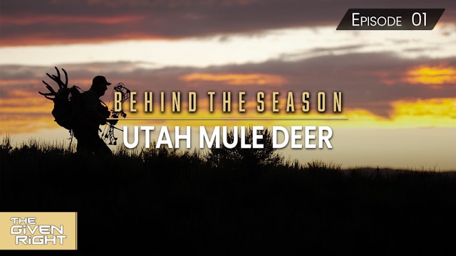Utah Mule Deer • Behind the Season