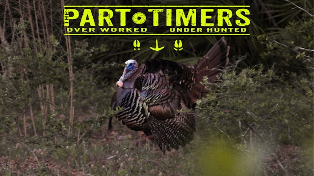 Four Year Old Films Osceola Turkey Hunt • The Part Timers