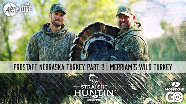 Prostaff Nebraska Turkey Part 2 • Mer...