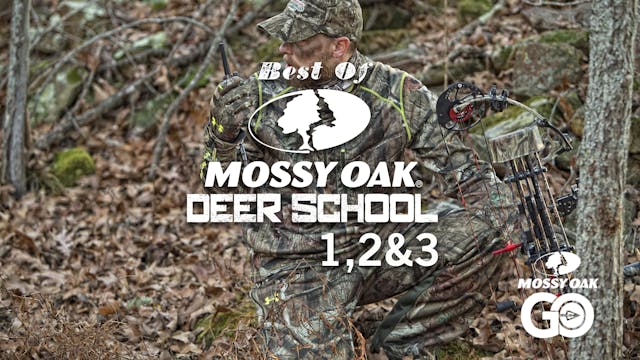 Best of Deer School 123