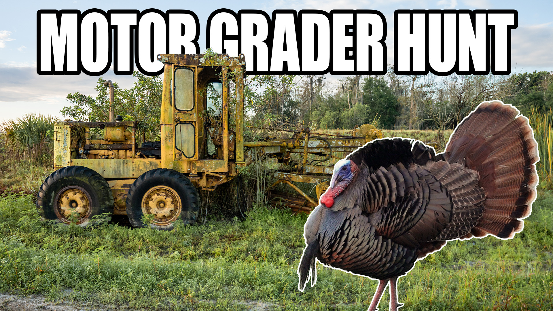Motor Grader Turkey Hunt • Country Outdoors Adventures