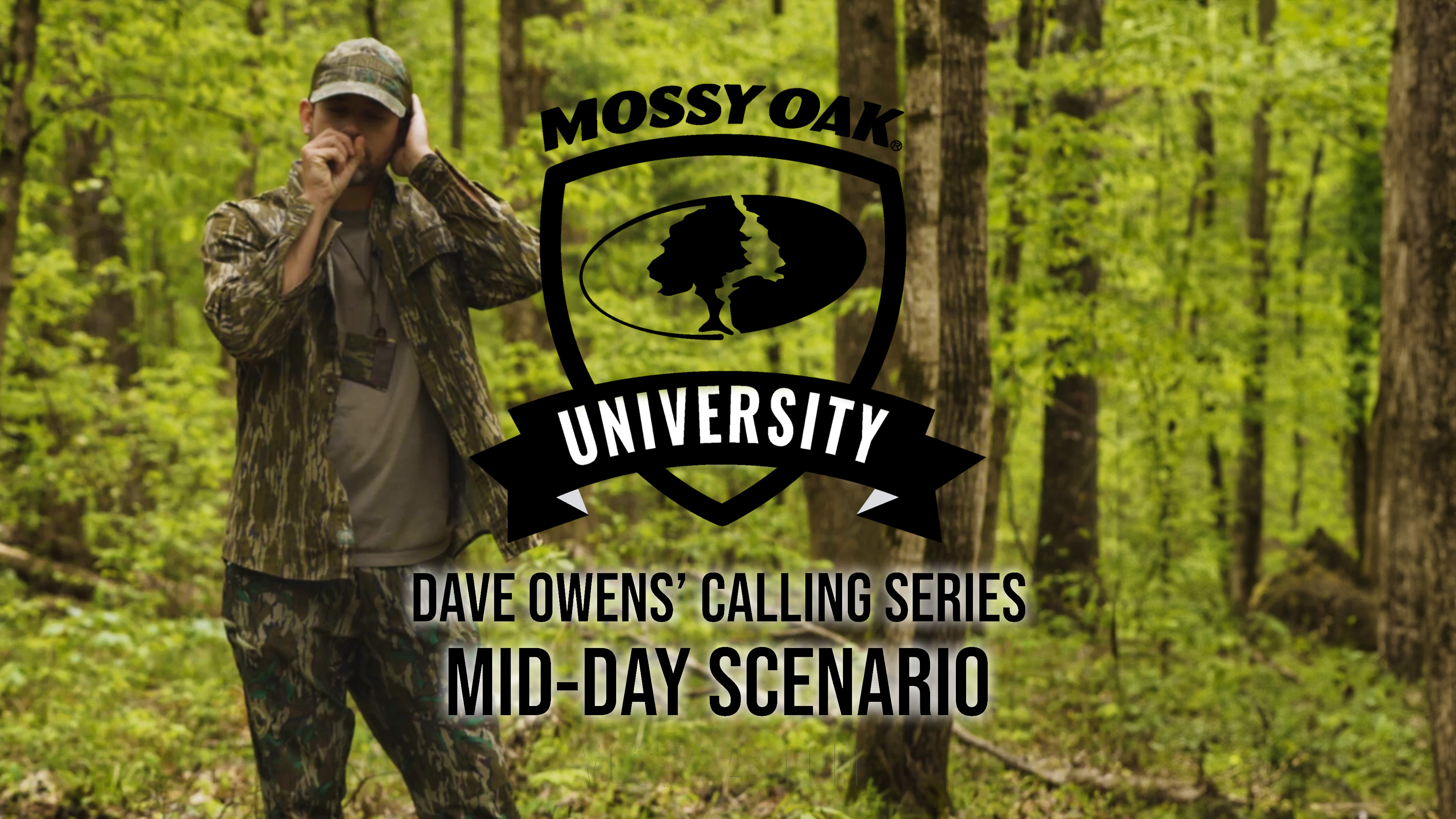 Dave Owens’ Turkey Calling Tips: MID-DAY SCENARIO