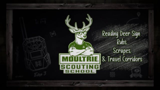 Reading Deer Sign • Rubs, Scrapes & T...