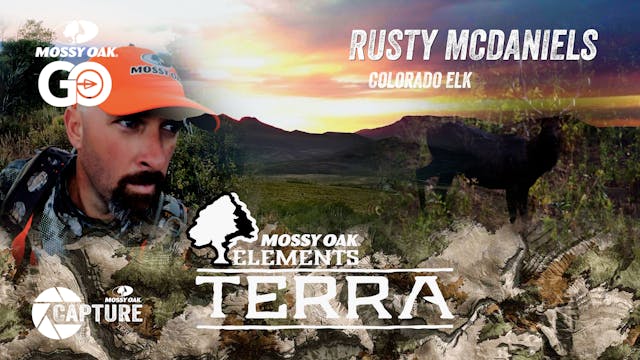 Rusty McDaniels Colorado Elk • Terra