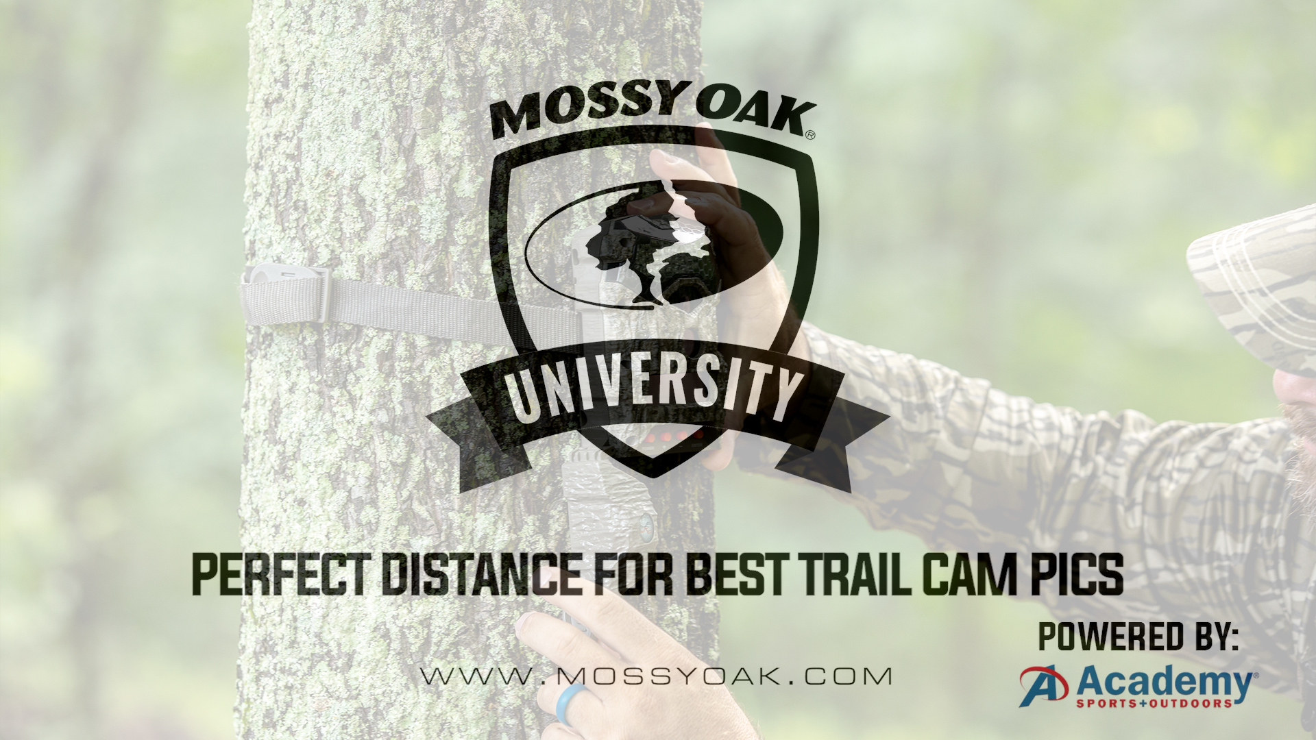 Perfect Distance For Best Trail Camera Pics