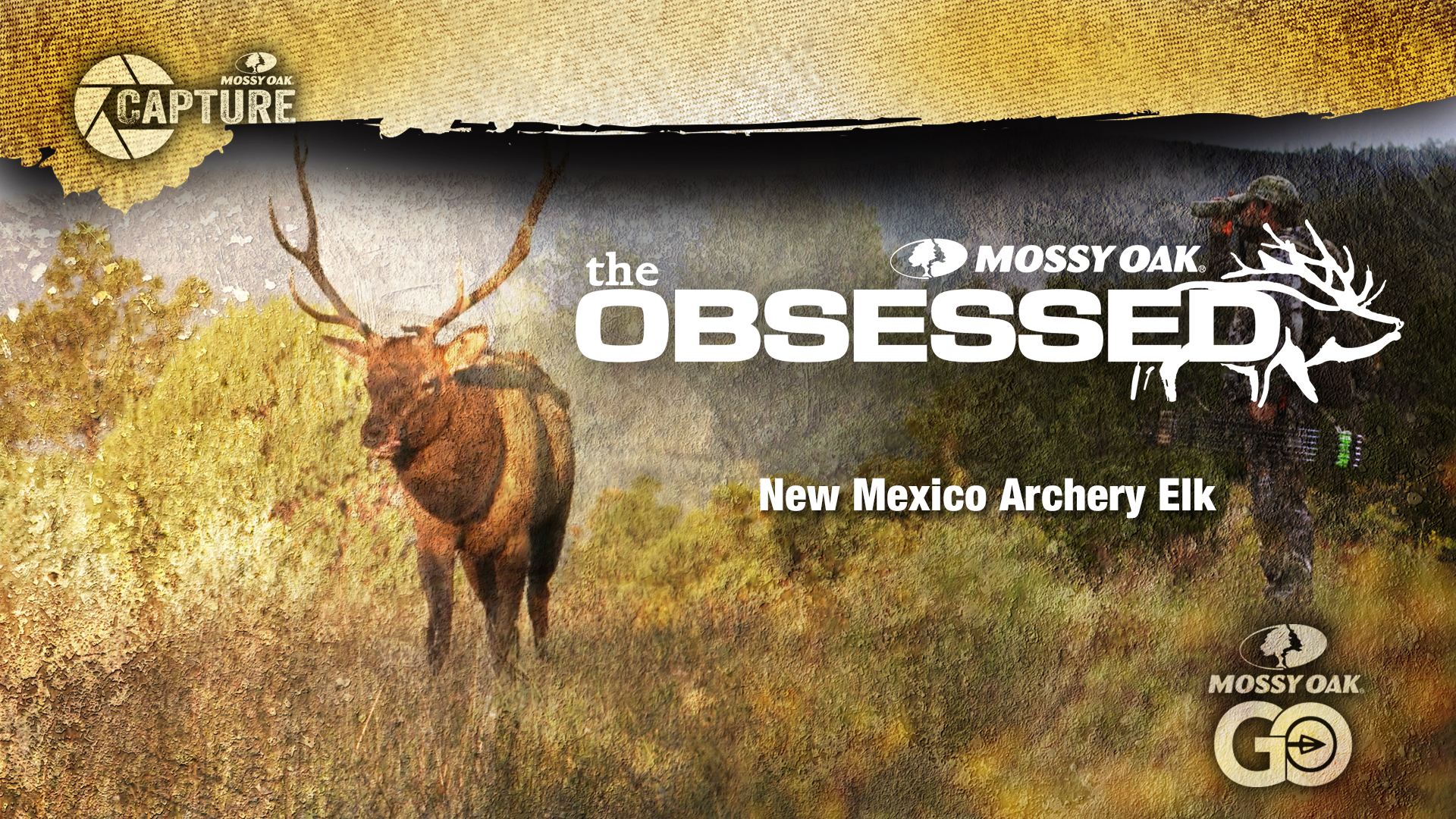The Obsessed • New Mexico Elk
