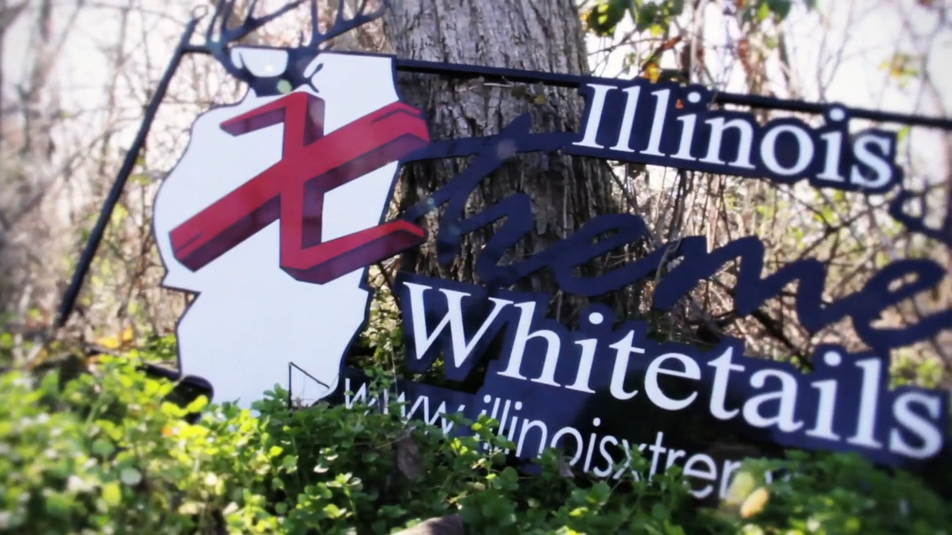 A Half A Million Pictures • NBK Episode 12 S6