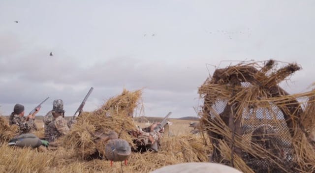 Northern Skies II  • DU TV